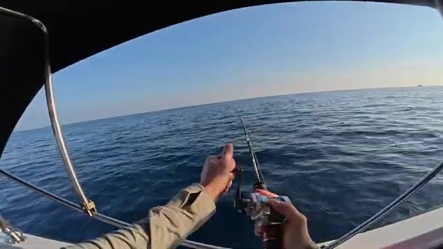Вода у Мириссы буквально закипела - и тут началось...