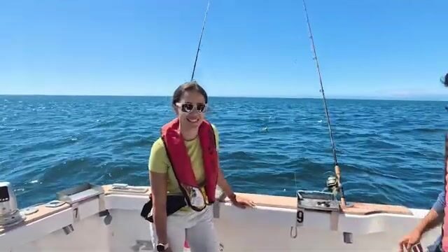 Лиссабон: дорада со дна, а не с витрины рыбного рынка