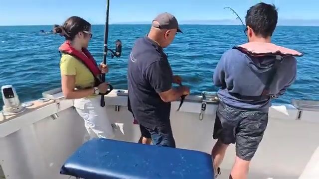 Лиссабон: дорада со дна, а не с витрины рыбного рынка