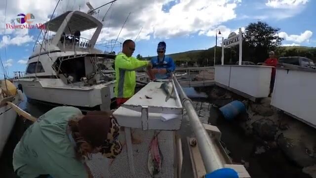 На Мауи рыба не смотрит на календарь: тунец берёт круглый год