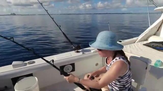 Восемь часов на Багамах: тунец с руки, окунь под занавес