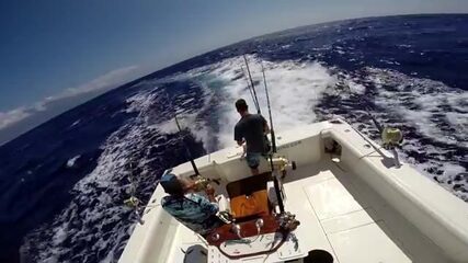 Мауи, Гавайи: синяя вода и корифена на троллинговых линиях
