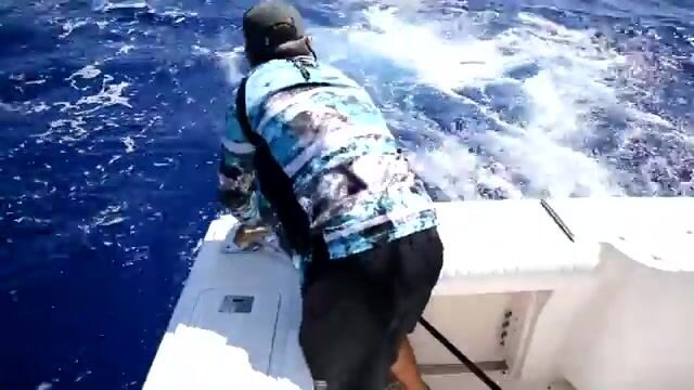 Мауи, Гавайи: синяя вода и корифена на троллинговых линиях