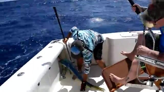 Мауи, Гавайи: синяя вода и корифена на троллинговых линиях