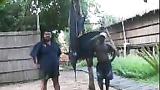 Час в мозамбикских водах - и парусник бьётся на крючке