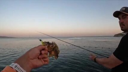Ищи мыс Хако под Новороссийском (Чёрное море), если микроджиг молчит у Широкой балки