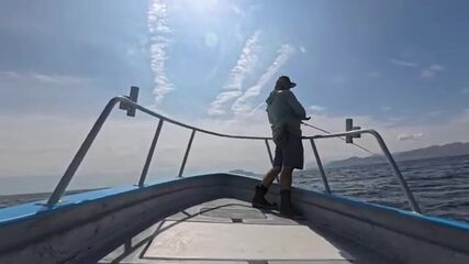 Баия-де-лос-Анхелес: желтохвост, скипджек и капрелья за один выход в Кортесе
