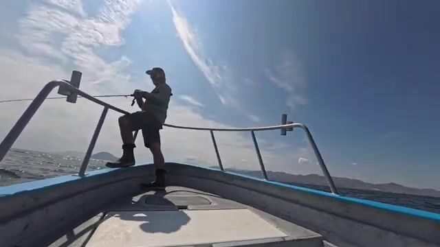 Баия-де-лос-Анхелес: желтохвост, скипджек и капрелья за один выход в Кортесе
