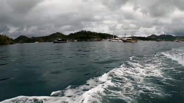 Как искать каранкса GT у подводных пиков Комодо
