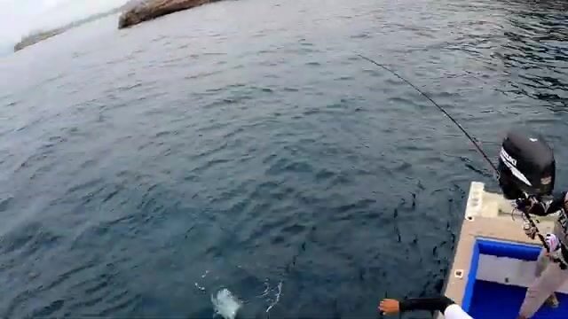 Как искать каранкса GT у подводных пиков Комодо