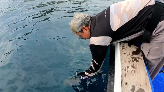 Как искать каранкса GT у подводных пиков Комодо
