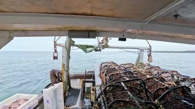 Сорок лет в Северном море: будни шкипера из гавани Питтенвим