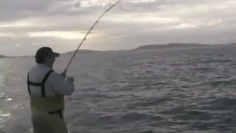 Читай воду и выбирай муху под жертву: нахлыст в Средиземном море