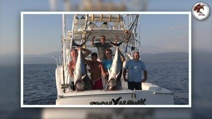 Правда ли, что тунец под Черногорией берёт на рассвете?