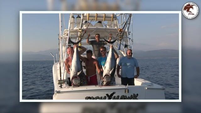 Правда ли, что тунец под Черногорией берёт на рассвете?