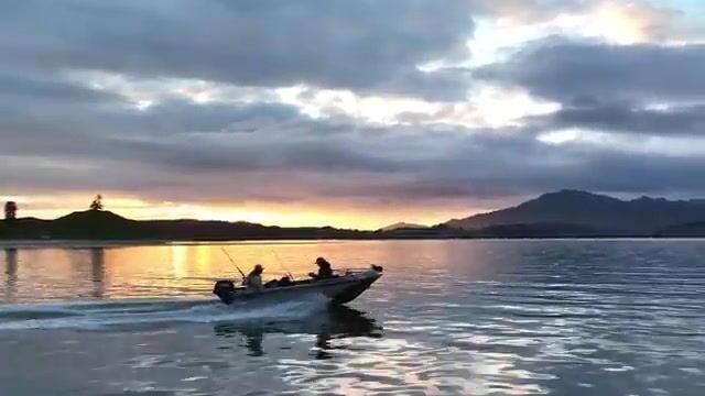 Кефаль в роли живца, а кингфиш молчал в гавани Нортленда