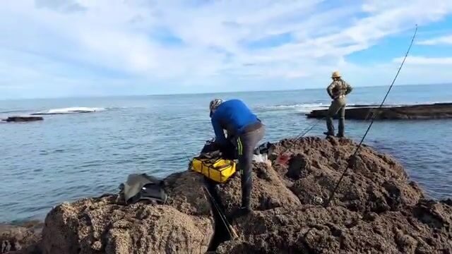 Друзья гоняли окуня по Дикому Западному побережью Новой Зеландии