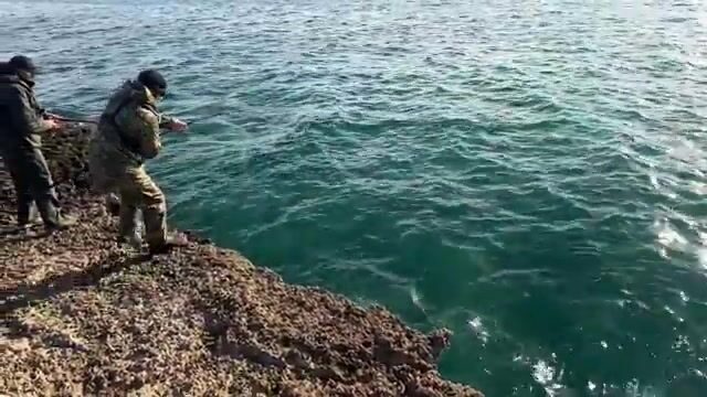 Друзья гоняли окуня по Дикому Западному побережью Новой Зеландии