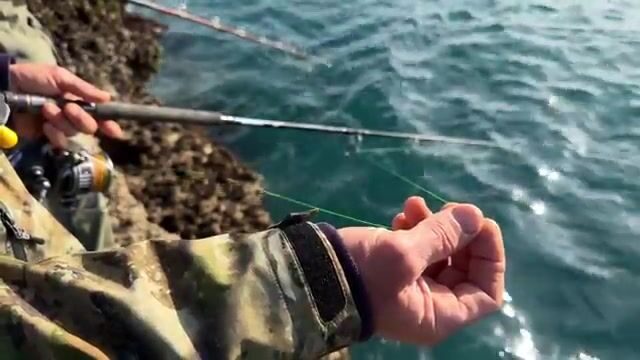 Друзья гоняли окуня по Дикому Западному побережью Новой Зеландии
