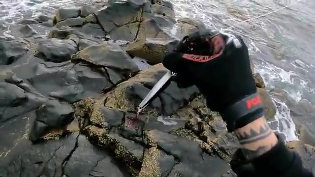 Бери снасть потяжелее: скалы Лансароте отдают барракуду на рассвете