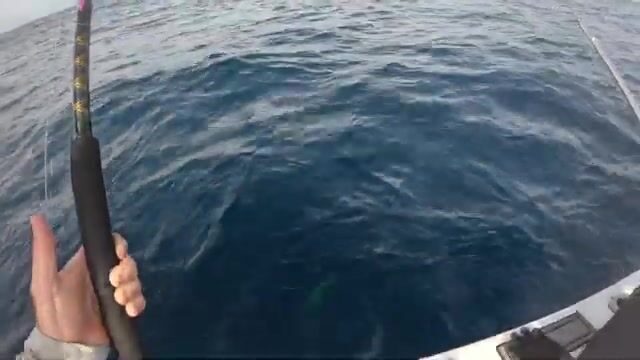 Шторм над Никарагуа стихает - лодка идёт на глубину за махи-махи