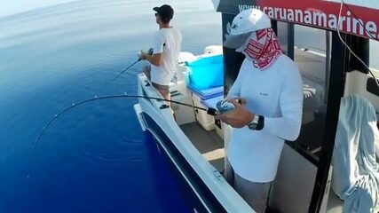 10 и 35 килограммов: два группера-зубана со дна у Мальты