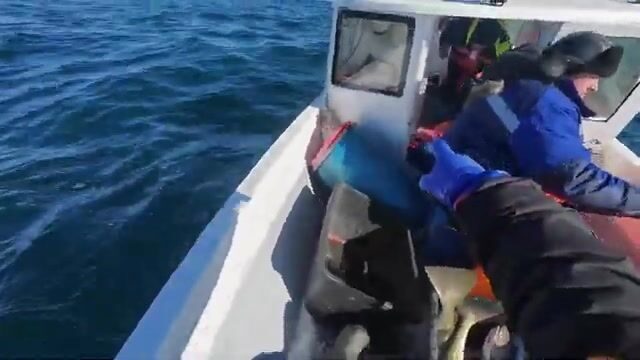 Генератор встал в метель. Треска у Мурманска ждала всё равно