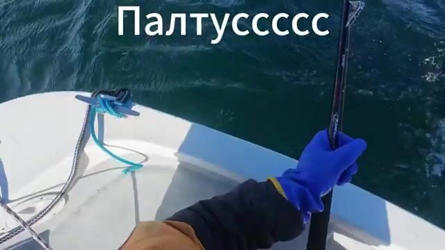 Генератор встал в метель. Треска у Мурманска ждала всё равно