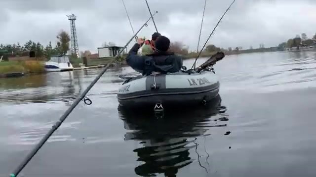 Сколько щук утащишь из Лиелупе под Елгавой за один выходной?