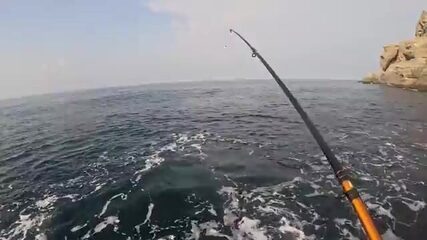 Мыс Меганом отдаёт полтора кило зубаря, а пеламида уходит из-под носа