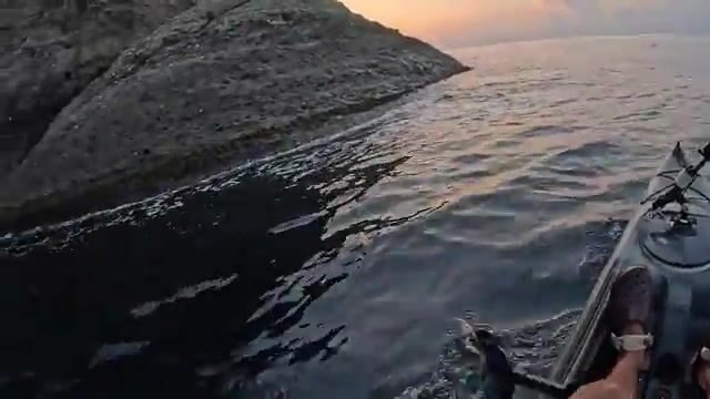 Мыс Меганом отдаёт полтора кило зубаря, а пеламида уходит из-под носа