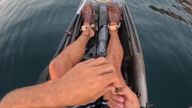 Мыс Меганом отдаёт полтора кило зубаря, а пеламида уходит из-под носа