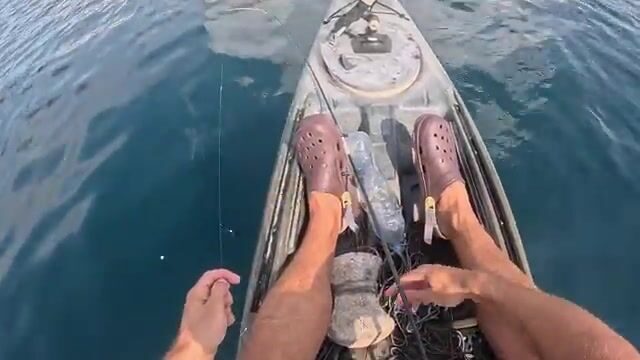 Мыс Меганом отдаёт полтора кило зубаря, а пеламида уходит из-под носа