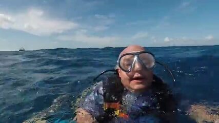 Групер прячется в рифах Негрила - охочусь на Ямайке без акваланга