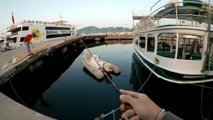 В Мармарисе спиннинг длиной 55 сантиметров берёт колючего ласкиря, а иглобрюха отпускает в море