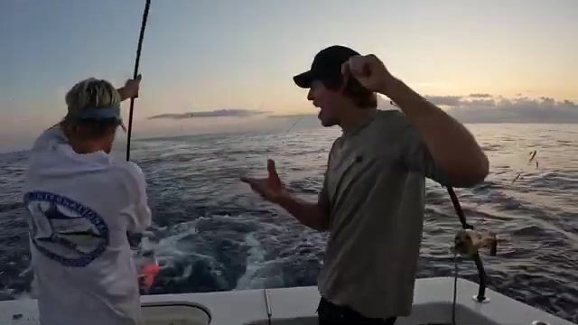 У Неаполя во Флориде акула срывает первую рыбу, а команда всё равно берёт марлина