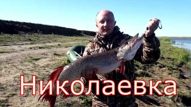 В Николаевке спиннинг чуть не согнуло - к лодке вышла щука за два с половиной кило