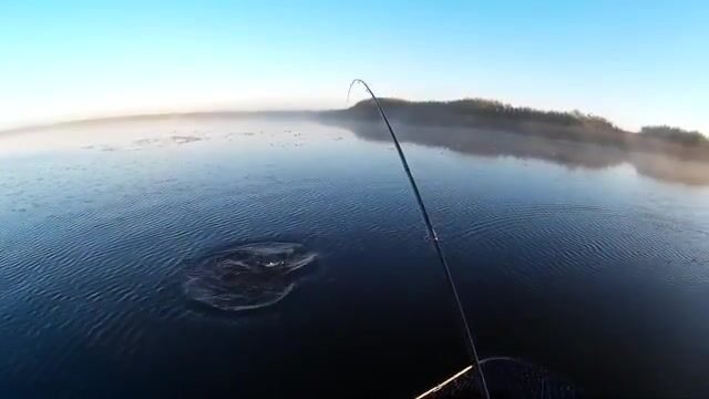 В Николаевке спиннинг чуть не согнуло - к лодке вышла щука за два с половиной кило