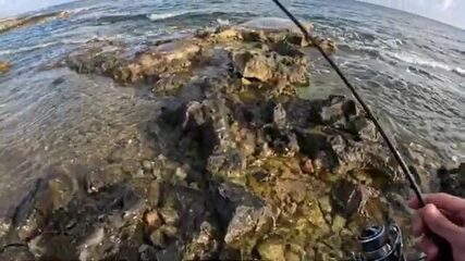 Лови отлив на Мальте: зимний микроджиг начинается с мелководья