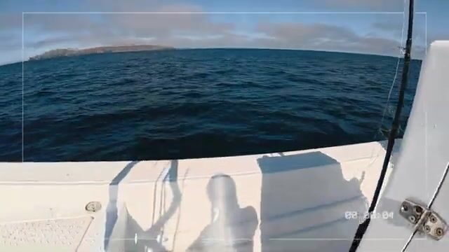 Планируя рыбалку в Мэг-Бэй (Мексика), закладывайте на дорогу шесть часов
