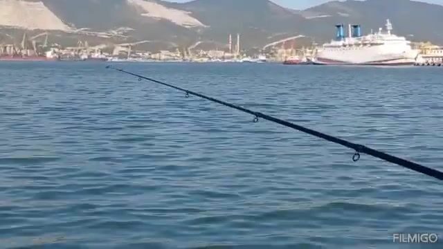 Ищу кефаль и рыболовный магазин в Новороссийске