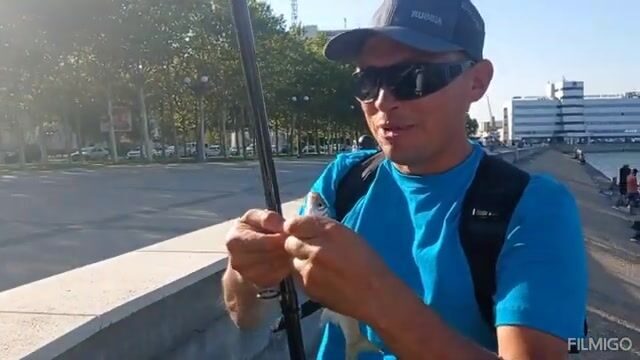 Ищу кефаль и рыболовный магазин в Новороссийске