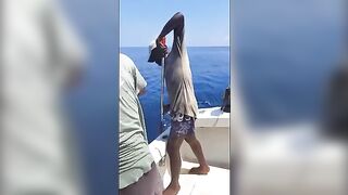 Биг-гейм в Малинди: лодка «Така» и суши прямо на борту