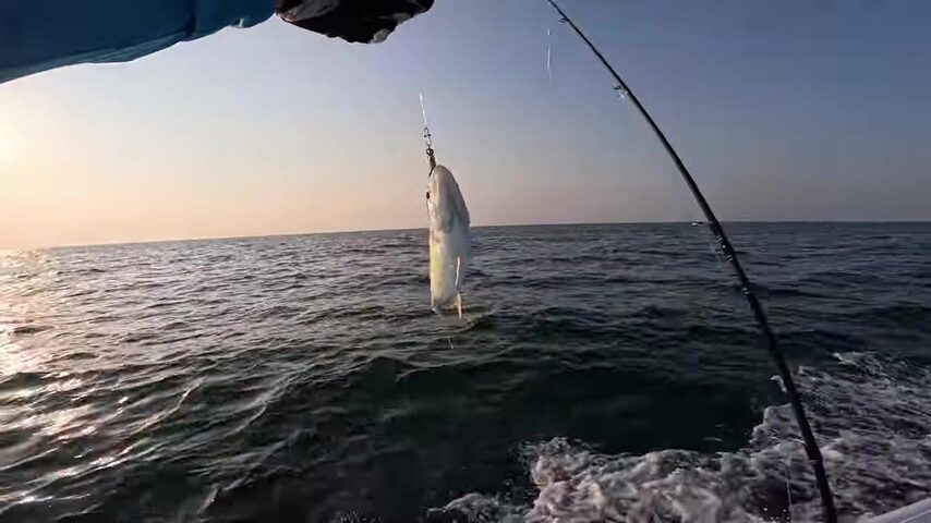 Ноябрьский чартер Zaya Fishing у Джебель-Али с катушками SPHEROS