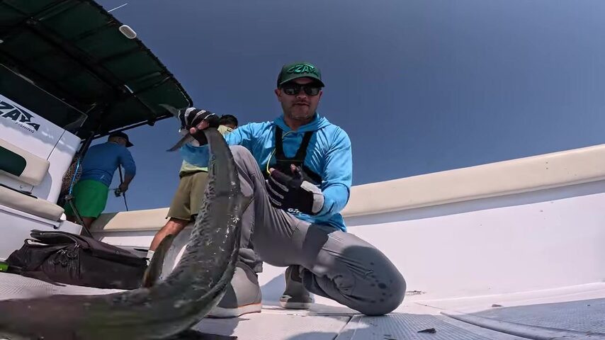 Ноябрьский чартер Zaya Fishing у Джебель-Али с катушками SPHEROS