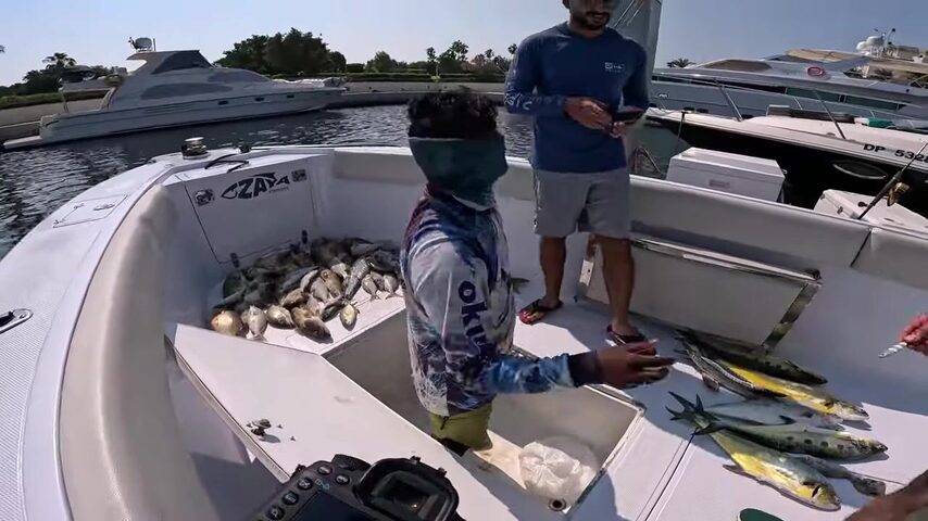 Ноябрьский чартер Zaya Fishing у Джебель-Али с катушками SPHEROS