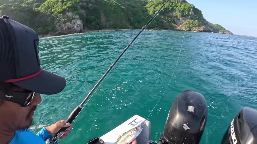 Рыба-петух у побережья Пуэрто-Вальярты с High Tides Fishing