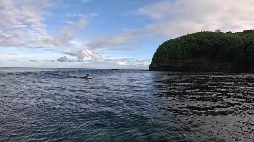Фиджи: рыбалка, поиск волн и птица