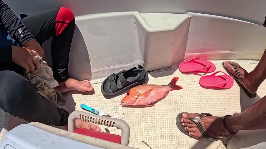 Ловля с эхолотом в водах Палау