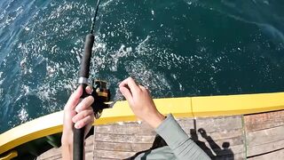 Флорианополис: морская рыбалка у острова Молекес-ду-Сул